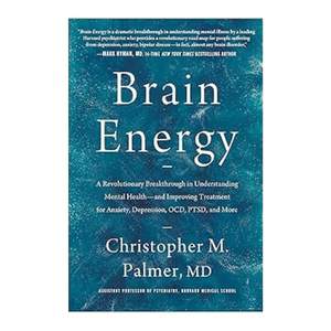 Brain Energy by Christopher M Palmer MD